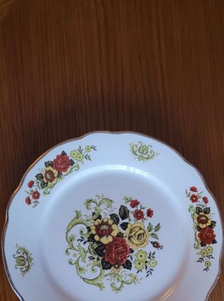 Assiettes plates porcelaine DIGOIN-SARREGUEMINES