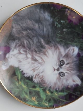 Assiette décorative purrfection fancy matthews