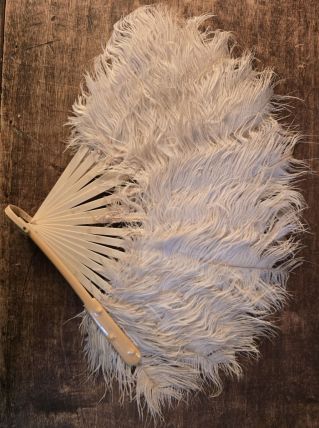 Eventail ancien en plumes 
