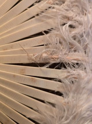 Eventail ancien en plumes 
