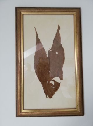 Cadre décoratif avec une feuille de tabac de CUBA 