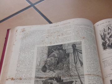 Journal La Chasse Illustrée 1875 - Édition Ancienne, Vie à La Campagne, Chasse, Illustrations XIXe Siècle, Collection