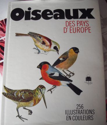 Oiseaux des pays d'europe
