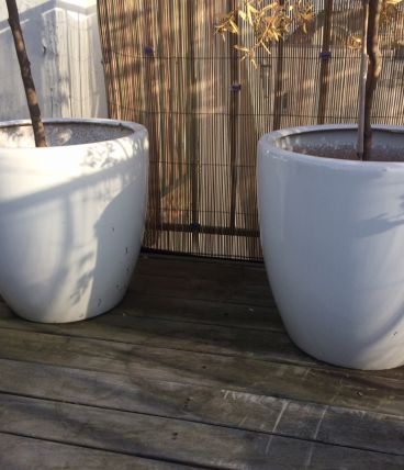 3 grands pots de fleurs en céramique blanche