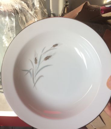 Lot assiettes porcelaine 