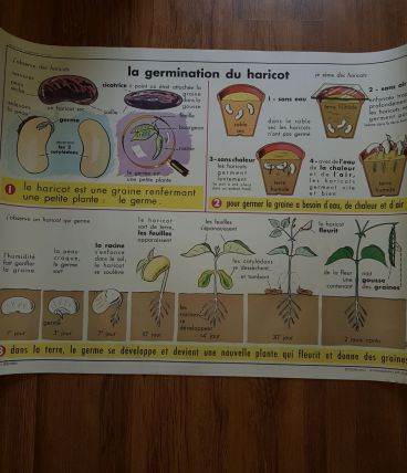 Affiche scolaire edition mdi 