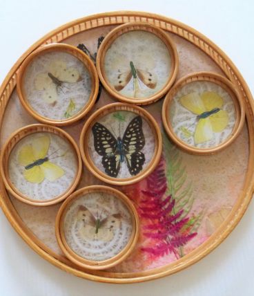 Plateau rond et 6 dessous de verre en bambou avec décor de papillons et de feuillage colorés, véritables ailes de papillons Années 60