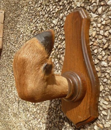 patere , patte  de chevreuil,  vintage