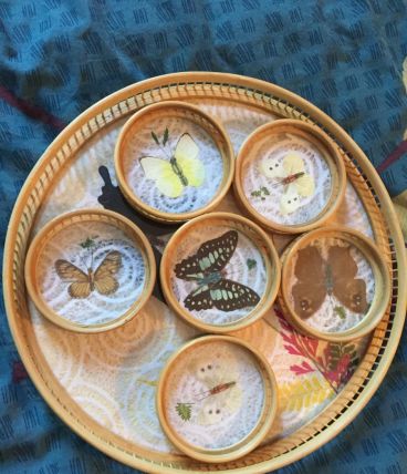 plateau papillon