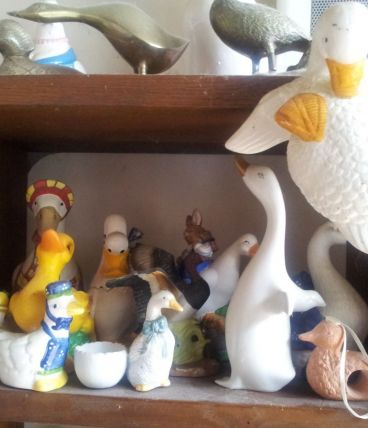 collection oies et canards