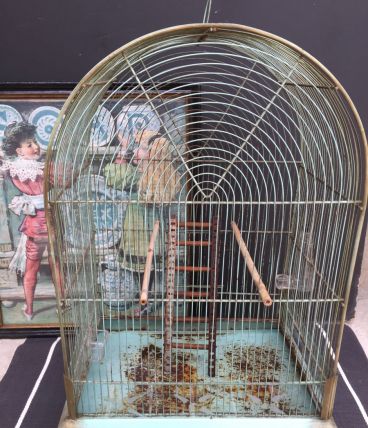 Cage oiseaux ancienne