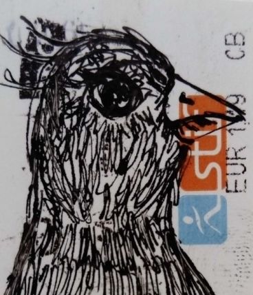 Jessica Pliez - L'oiseau Curieux 