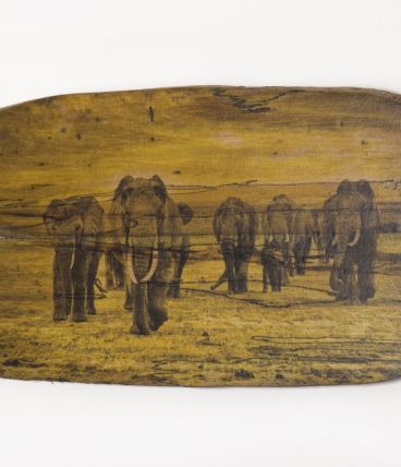  Bois Flotté Photowood éléphant