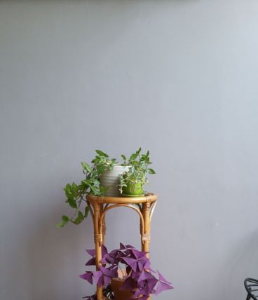 Sellette vintage porte plantes rotin