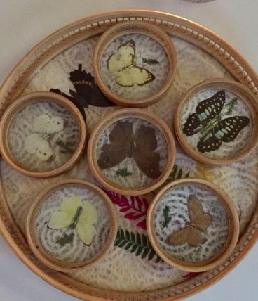Sous verres papillons en osier