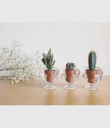 Coquetiers poule Luminarc 