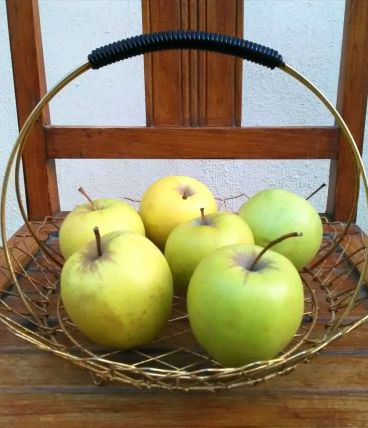 Jolie panière à fruits en métal doré