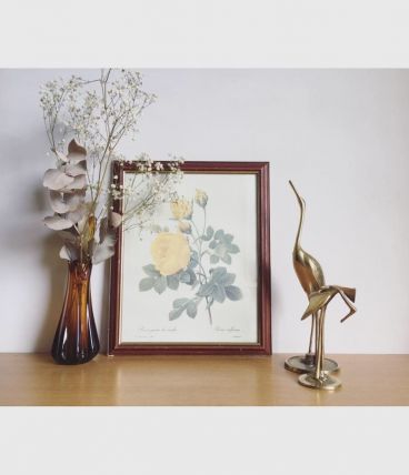 Tableau reproduction P.J. Redouté