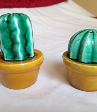 Paire salière-poivrière "cactus" barbotine