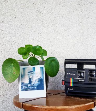 Polaroïd Spirit - Séries 600