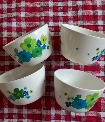 4 BOLS DE PIQUE NIQUE MELAMINE BLEU/VERT