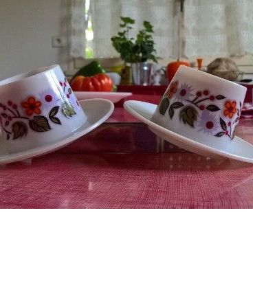 2 COQUETIERS DE PIQUE NIQUE FLEURI 