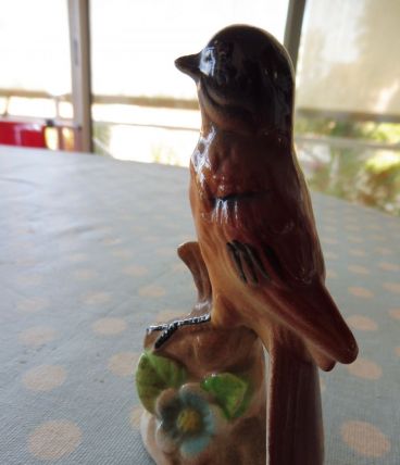 Oiseau de vitrine porcelaine