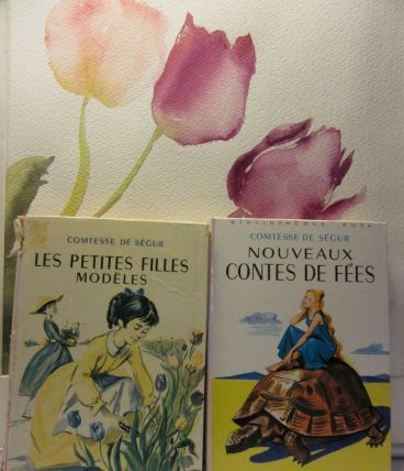 lot 2 bibliothèque rose Comtesse de Ségur 