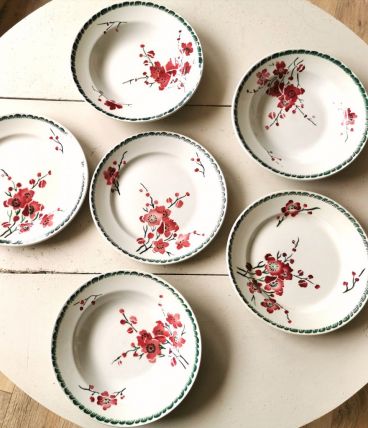 Lot 6 assiettes anciennes 