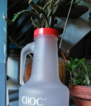 Pichet publicitaire (choc'menthe et Rio)