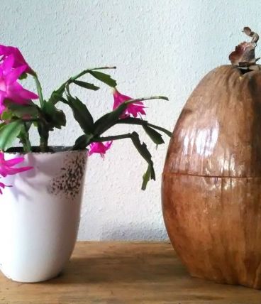 Bac à glaçons en noix de coco véritable-Artisanat 