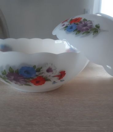 Coupes ou saladiers arcopal, vintage, shabby