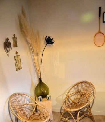 Fauteuil coquille rotin adulte