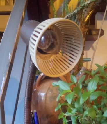 Lampe de bureau articulée - vintage 