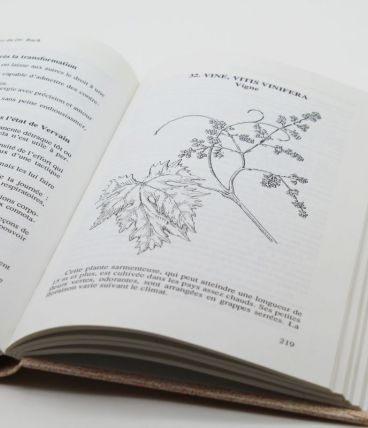 Livre les 38 quintessences florales du docteur Edward Bach