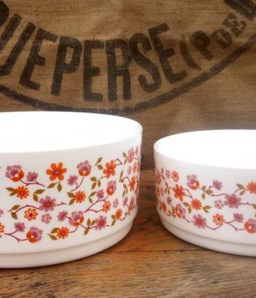 Deux saladiers Arcopal - Collection Scania - Années 70