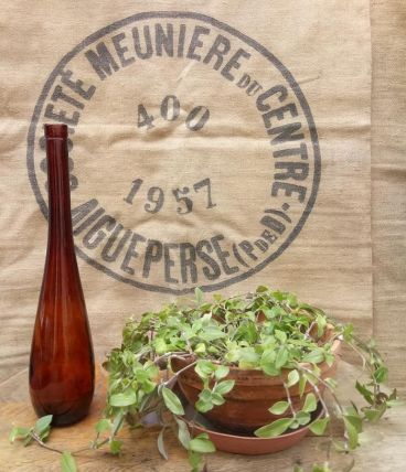 Jolie bouteille en verre ambré 