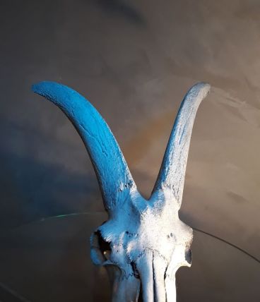 crane de bouctin ? deco cabinet de curosite