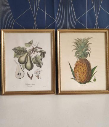 cadres lithographies fruits cadre doré