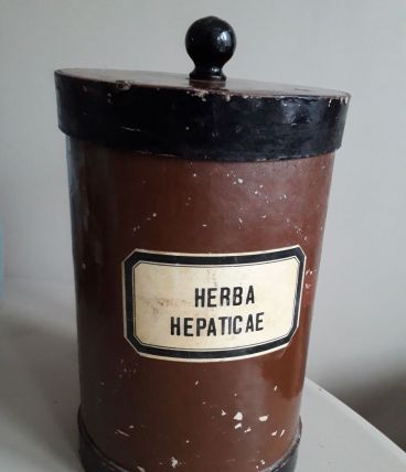 Pot d'herboriste