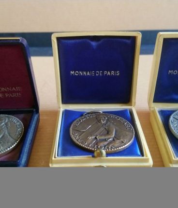 Médailles à l'effigie de Mozart - Monnaie de Paris 