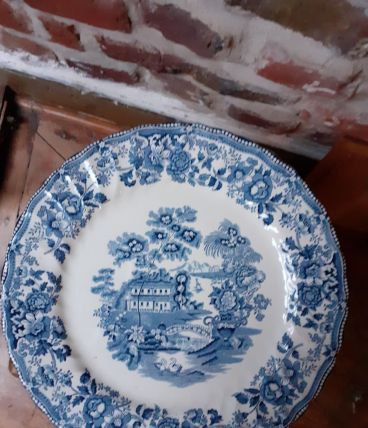 Assiette Anglaise Tonquin Myott