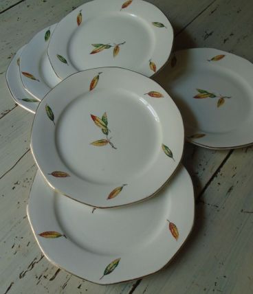 6 assiettes Digoin Sarguemine Nemours