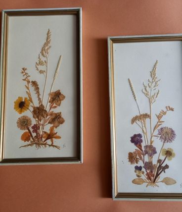 Cadres fleurs séchées 