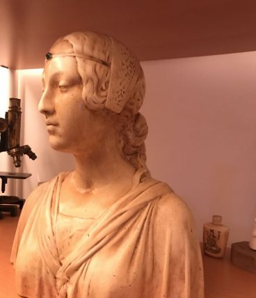 Buste de femme en platre patiné