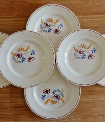 Lot 6 assiettes anciennes Salins France