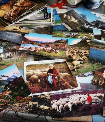 LOT 170 CPM theme BEGERS &amp; MOUTONS période 1950 à 1980  