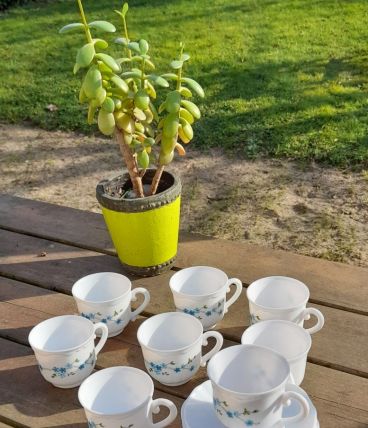Ensemble de 4 tasses café et soucoupes, Veronica myosotis
