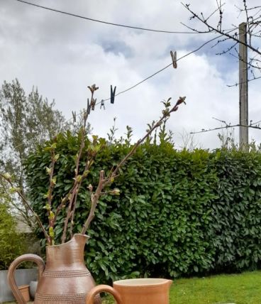 Ensemble de pichets/pots en grès- artisanal