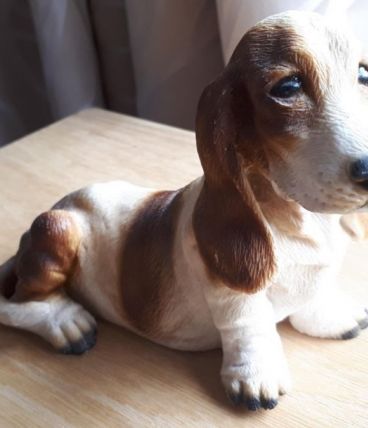 Chien décoratif Basset Hound